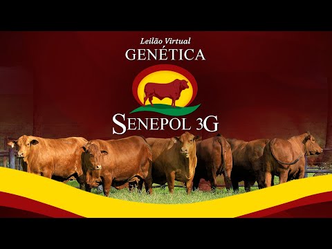 Lote 40 (Estrela da 3G - GGG 1407)