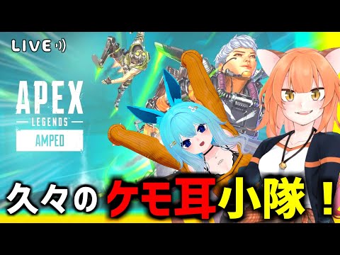 【#APEX】久々のケモ耳小隊！【2026/1/16】