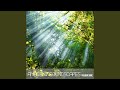 Michael Horsphol - A Sufi's Dream