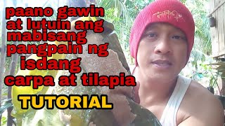 paano gawin at lutuin ang mabisang pangpain ng isdang carpa at tilapya (TUTORIAL)