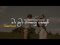 Ma Dama Noyanu Sonduri ම දම න යන ස ඳ ර Slowed Reverb 