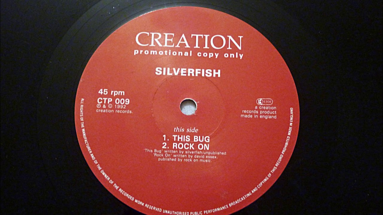 Watch Silverfish – This Bug on YouTube Watch Silverfish – This Bug on YouTube