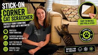 Hands-On with TiddieBair Cat Scratcher #affiliate