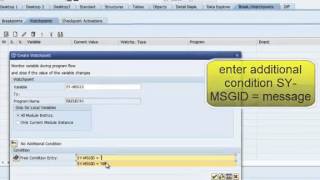 SAP ABAP Debuging using watchpoint