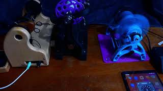Espinner noise comparison Wealth