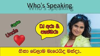 DJ Ara \u0026 Pasbara Who's speaking 22 Dhanushka Uncle | The Big Talk
