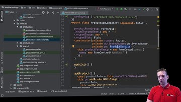 Advanced Web Apps 2019 | Unit Testing in Angular | S3P5 | Why we want to Stub our Service