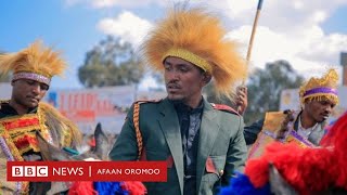 New Hacaaluu Hundeessaa **Abu koo** New Oromo music 2020