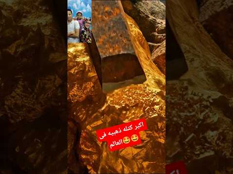 اكتشاف اكبر كتله ذهبيه فى العالم      طرائف  عمر ماتريكس