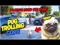 I Pretended To Be a PUG NPC But A Gang Kidnapped Me on GTA 5 RP!