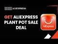 How to Get AliExpress Plant Pot Sale Deal