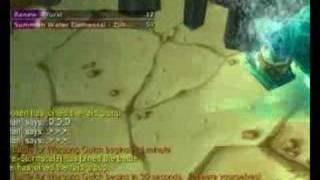 WSG exploit(gates)