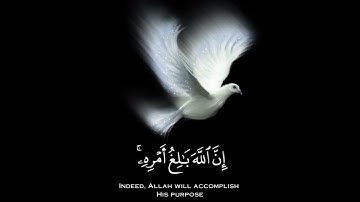 ومن يتق الله يجعل له مخرجا القارئ  ( شريف مصطفى ) 💚🍃تلاوه هادئه