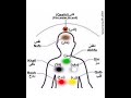 لطائف سلسلہ نقشبندی مجددی Wazifa Youtubeshart Youtubeviral Islamic Aqualezareen Foryou Tilawat 