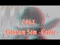 "TELEGRAM SAM" COVER