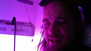 A Bud & A Bowl Show HD Very Lost Episode One
