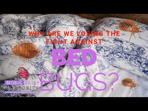 WHY ARE WE LOSING THE FIGHT AGAINST BED BUGS | BED BUG AUTHORITY | DIY SOLUTIONS FOR BED BUGS | DIY