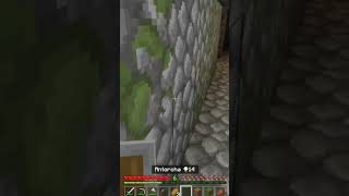 Laberinto Con Ratas 😖😖 #minecraft #viral #parati #humor #youtubeshorts #fyp