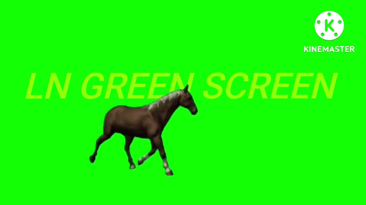 # green screen status horse character # no copyright # animation   horse # horse green screen