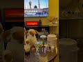 mashallah ✨️