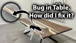 DISASTER averted. How to fix gnats in clear epoxy.