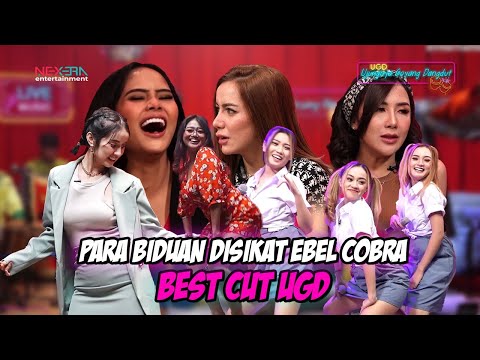 EBEL COBRA & RISPO DIBIKIN SUSAH BERPALING DARI PENYANYI DANGDUT | UGD BEST CUT