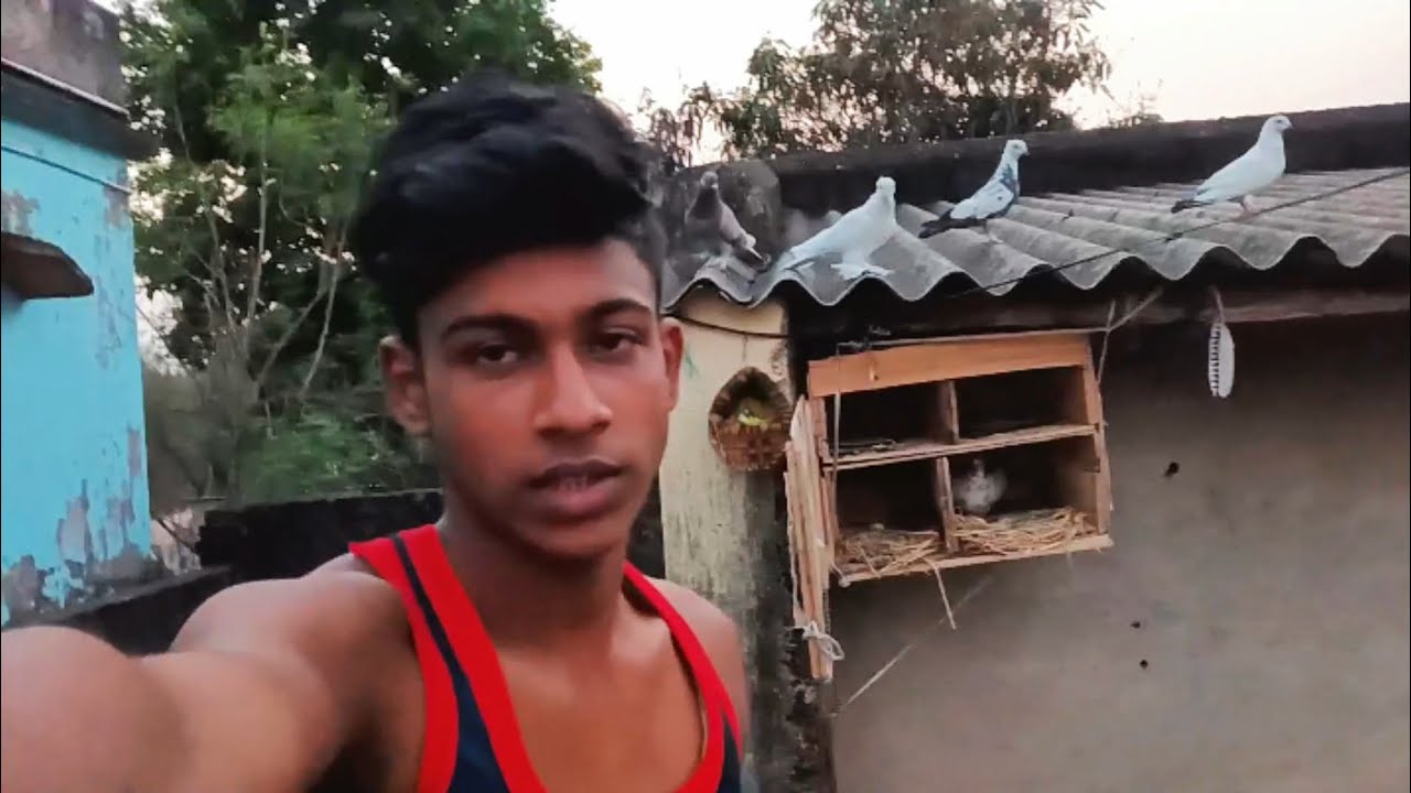 🕊️phuni attack kala para chhuaku musa#vlog 