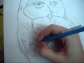 Drawing an owl