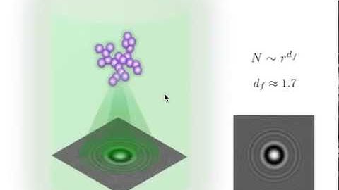 Holographic Characterization of Protein Aggregation