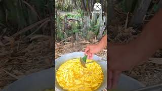 Ep.๔๓ : แกงส้มปลาช่อนนากับหยวกกล้วย#ใส่น้ำส้มจาก#อาหารใต้พื้นบ้าน#อาหารใต้หรอยๆ#ชิม#ชิมแล#เอโพดำ