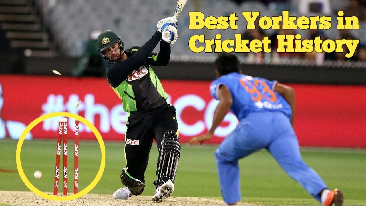 Best Yorkers in Cricket History Ever || Destructive Yorkers || Top ...