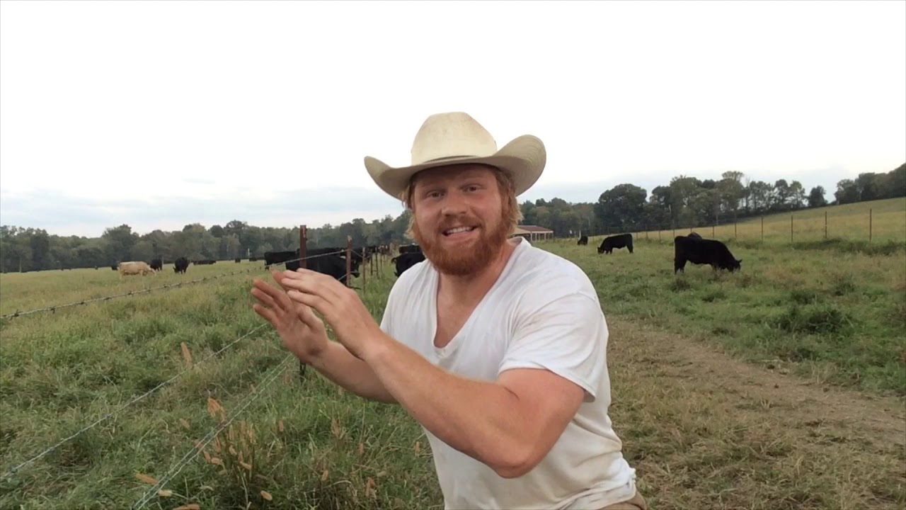 Weaning Cows