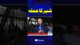 Lion Attack in Johar Town Lahore | Samaa TV