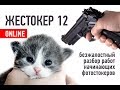 Жестокер 12 - безжалостный online-разбор работ начинающих фотостокеров