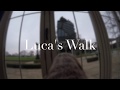 Luca the Italian Spinone Goes for a Walk の動画、YouTube動画。