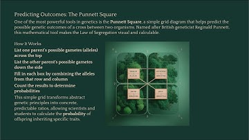 Grade 9 Life Science | Inheritance and Variation | Genes, DNA & Genetic Traits Explained