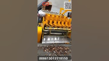 2021 Cashew Nut Shelling Machine Test Video Shelling Grading Peeling Roasting cara@machinehall.com