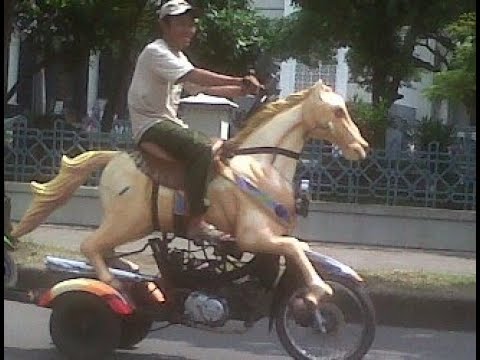 LIVE KSATRIA BERKUDA