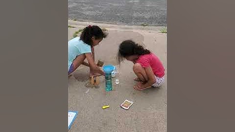 Summer Kids Science Experiment Project Idea - Bottle Rocket #kiwicrate 🚀#kiwico