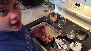 FLOATING EGGS IN SALT WATER -  5TH GRADE SCIENCE EXPERIMENT