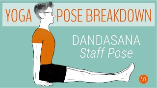 Yoga Pose Breakdown Dandasana Aka Staff Pose Adventure Yoga With Stephen Ewashkiw