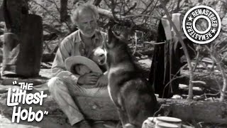Die Hard | The Littlest Hobo (1963) | S1E2 | Remastered