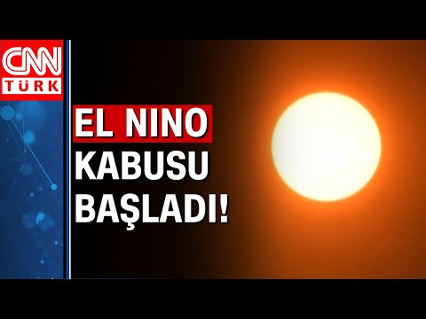 El Nino hava olayı başladı: 2024'ün Dünya’nın en sıcak yılı olması bekleniyor