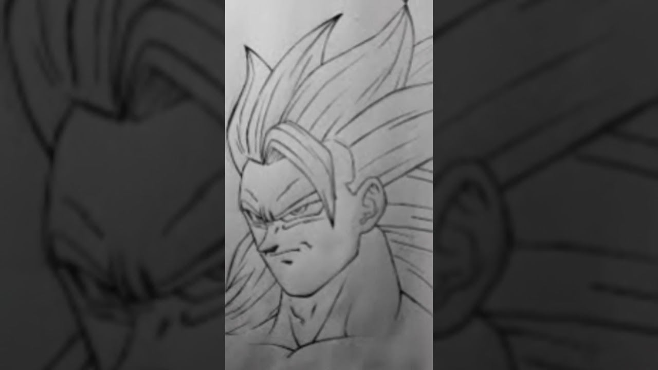 Goku dro 