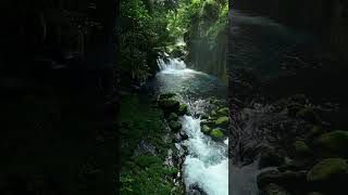 Deep Focus Music - Concentration Music for Studying, ADHD Music, Super Intelligence