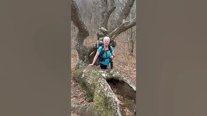 Teresa at Gnarly Oak 201122