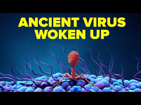 Video: Dangerous Diseases Wake Up In Earthly Glaciers - Alternative View