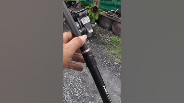 Câu cá rô đồng |ngô bình fishing|