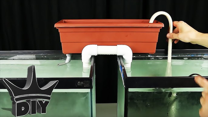Filter Two Aquariums With One $10 Diy 2024