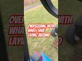 Overseeding hack ! #lawncarebusiness #lawn #grass #mowing #tractor